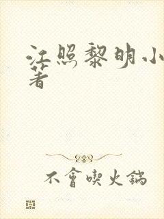 江照黎明小说原著