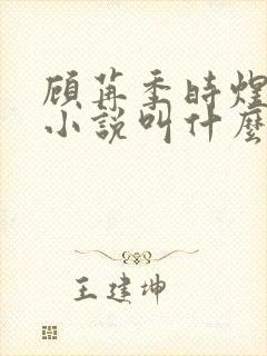 顾苒季时煜电竞小说叫什么名字