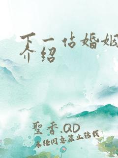 下一站婚姻剧情介绍