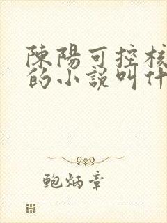 陈阳可控核聚变的小说叫什么名字