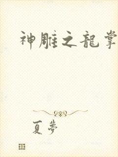 神雕之龙掌门