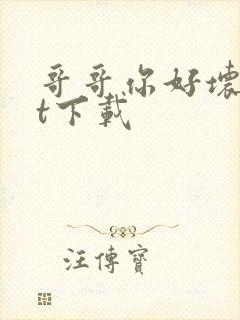 哥哥你好坏txt下载