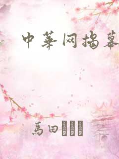 中华网揭幕内参