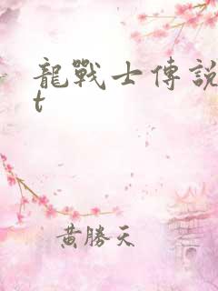 龙战士传说txt