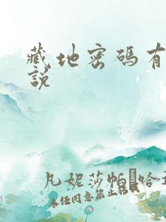 藏地密码有声小说