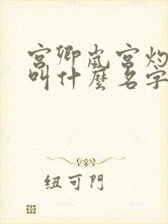 宫卿岚宫灼小说叫什么名字