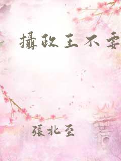 摄政王不要