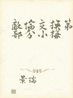 敌伦交换第11部分小梅