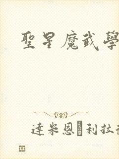 圣星魔武学院