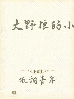 大野狼的小猫咪