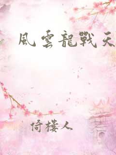 风云龙战天下