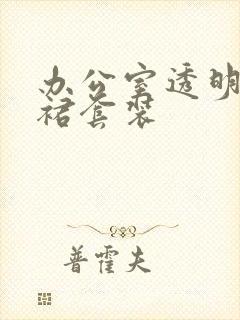 办公室透明半身裙套装