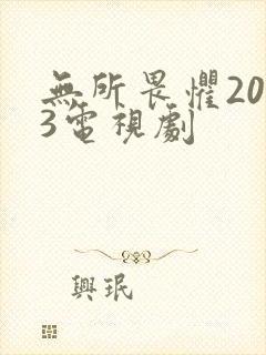 无所畏惧2023电视剧