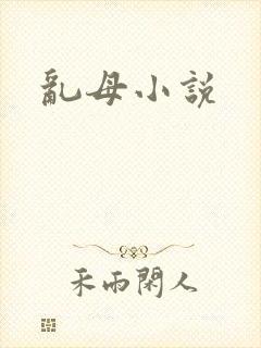 乱母小说