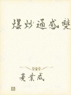 爆炒通感双胞胎