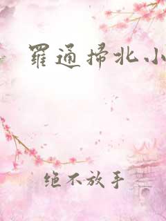 罗通扫北小说