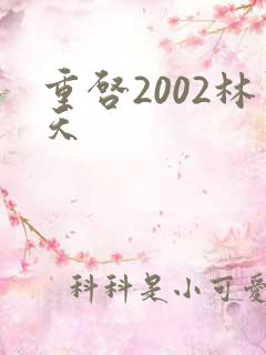 重启2002林天