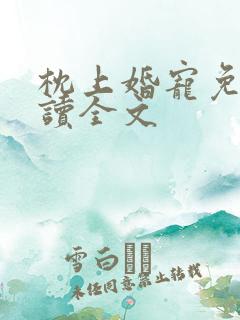 枕上婚宠免费阅读全文