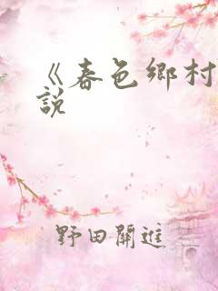《春色乡村》小说