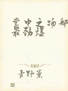 掌中之物哪一章最劲爆