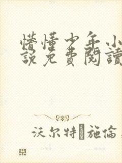 懵懂少年小兵小说免费阅读