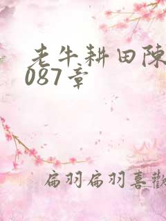 老牛耕田陈雪1087章