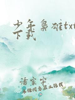 少年枭雄txt下载