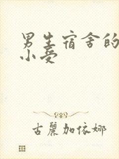 男生宿舍的公共小受