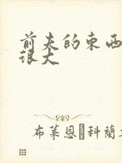 前夫的东西真的很大