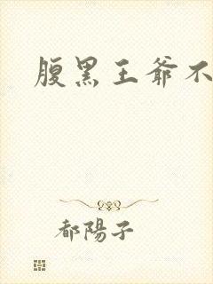 腹黑王爷不良妻