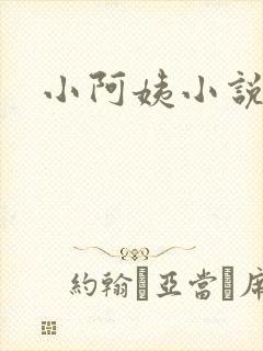 小阿姨小说
