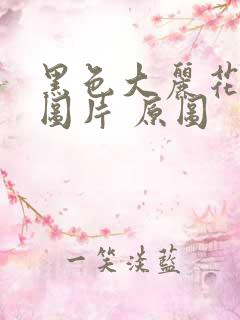 黑色大丽花真实图片 原图