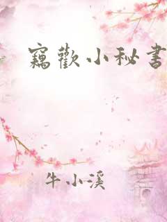 窃欢小秘书