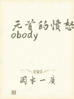 元首的愤怒之nobody