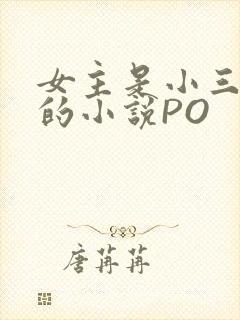 女主是小三很婊的小说PO