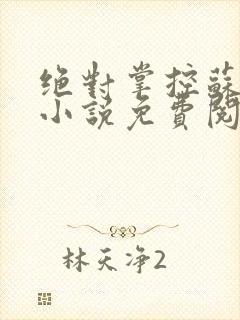 绝对掌控苏绵绵小说免费阅读全文