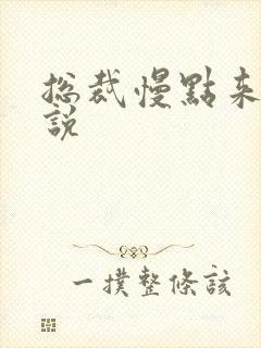 总裁慢点来 小说