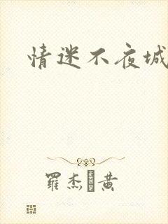 情迷不夜城
