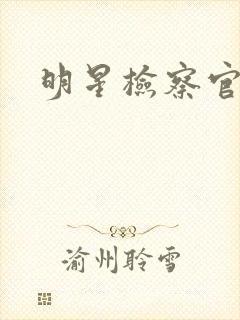 明星检察官小说