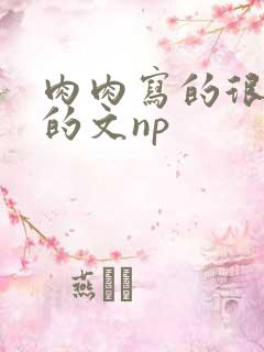 肉肉写的很细致的文np