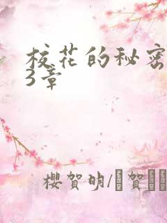 校花的秘密第23章