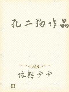 孔二狗作品