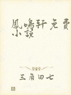 凤鸣轩免费言情小说