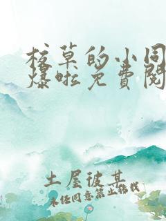 校草的小同桌撩爆啦免费阅读