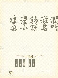 浪漫的滋润刘大勇小说名叫什么?