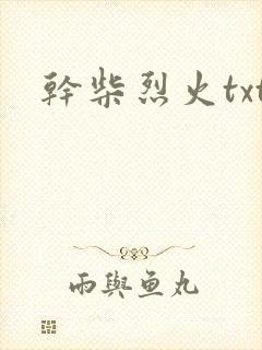 干柴烈火txt