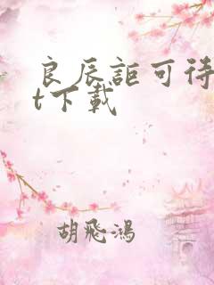 良辰讵可待txt下载