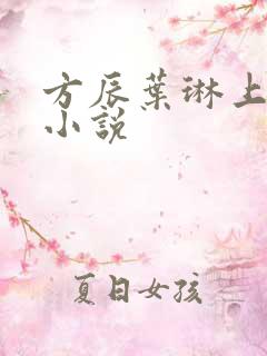 方辰叶琳上官步小说