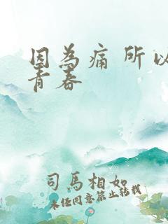 因为痛 所以叫青春