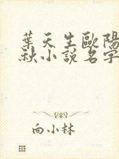 叶天生欧阳欣忆秋小说名字